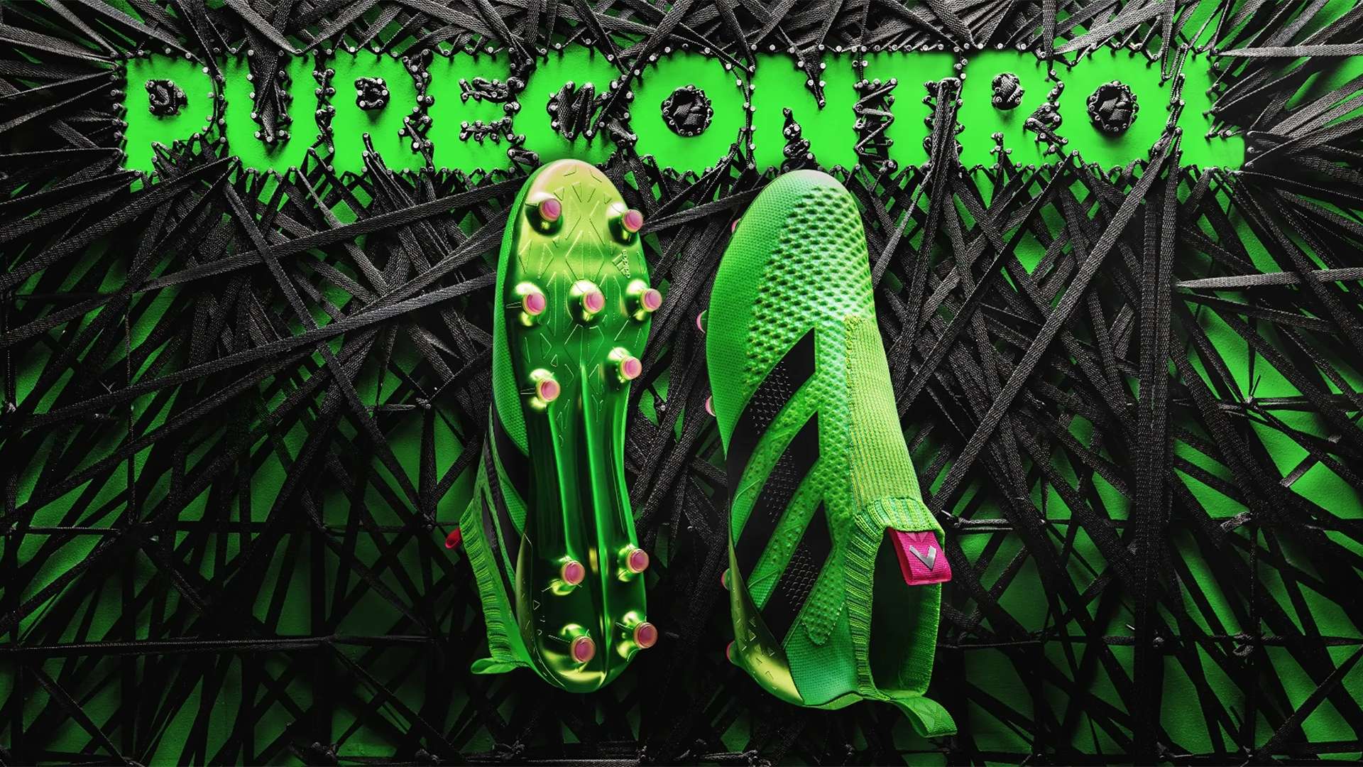 他们通过数 他们通过数