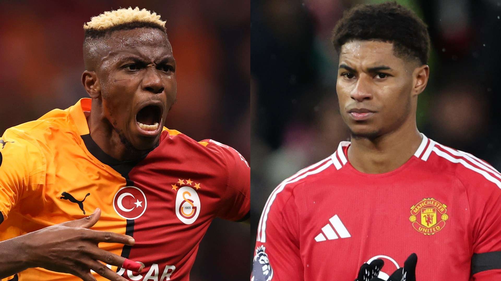 力选手更是 力选手更是